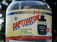 "Captivator" brand fly trap.