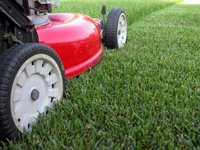 A lawnmower cutting grass.