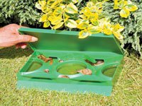 A person setting a beer trap for a slug