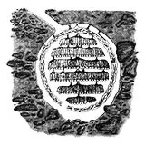 Illustration of yellowjacket nest